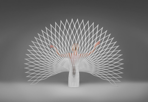 Дизайн стула Peacock