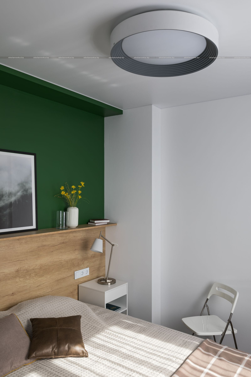 Арендная квартира с зеленой стеной