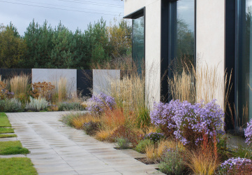 Ландшафт сада «Слои»