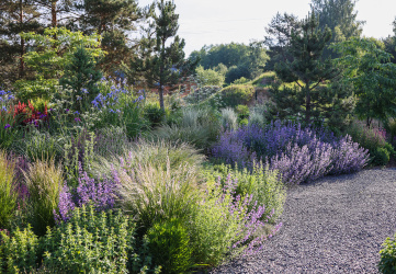 Проект ландшафта «Река в степи» 