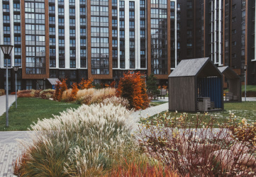 Проект ландшафта «Ландшафты левады» 