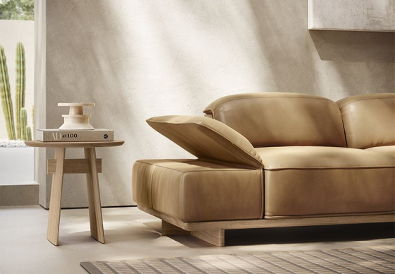 Диван Natuzzi