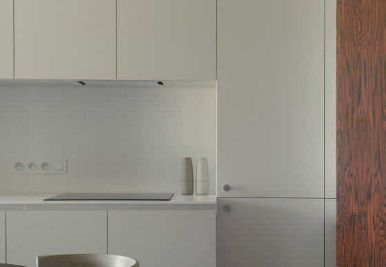 Интерьер квартиры «WAWA apartment»
