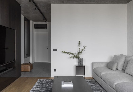 Интерьер квартиры «Небольшой пентхаус в центре Минска»