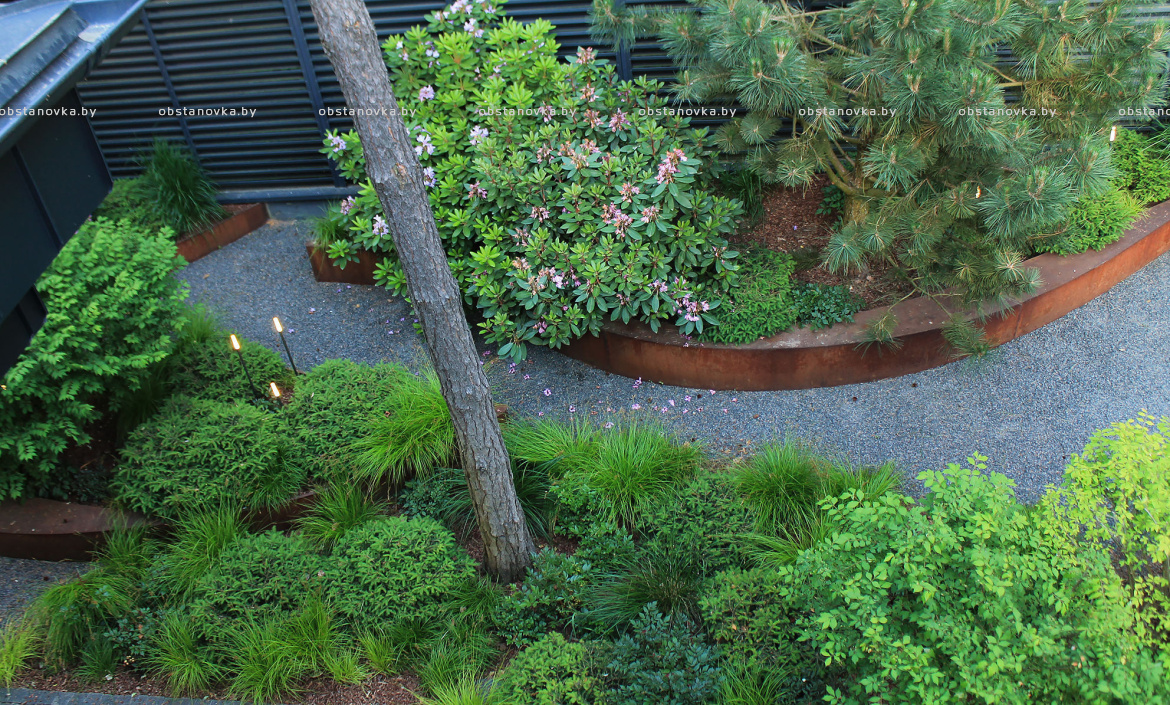 Ландшафт сада «Dreams» Ландшафт сада «Dreams»