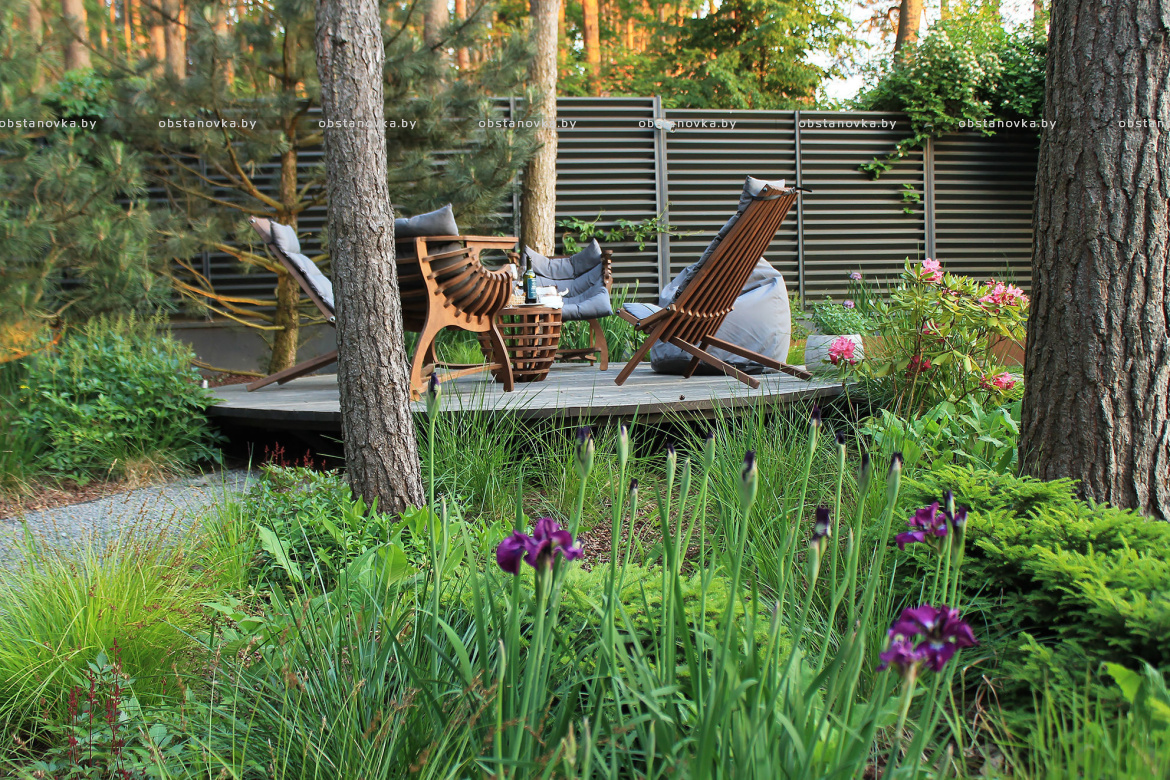 Ландшафт сада «Dreams» Ландшафт сада «Dreams»