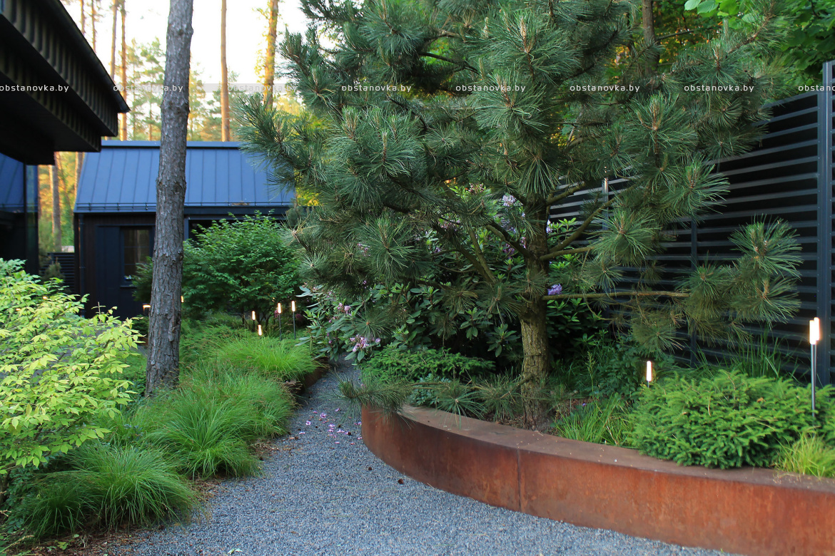 Ландшафт сада «Dreams» Ландшафт сада «Dreams»