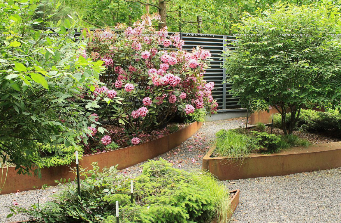 Ландшафт сада «Dreams» Ландшафт сада «Dreams»