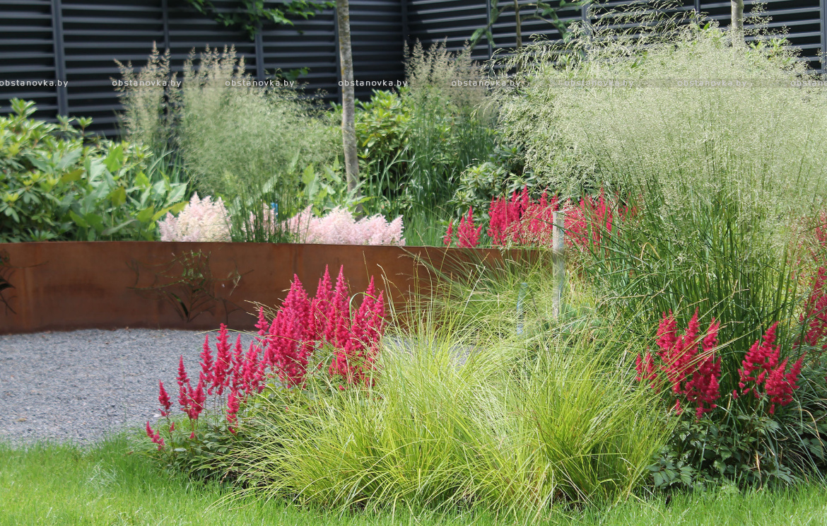 Ландшафт сада «Dreams» Ландшафт сада «Dreams»