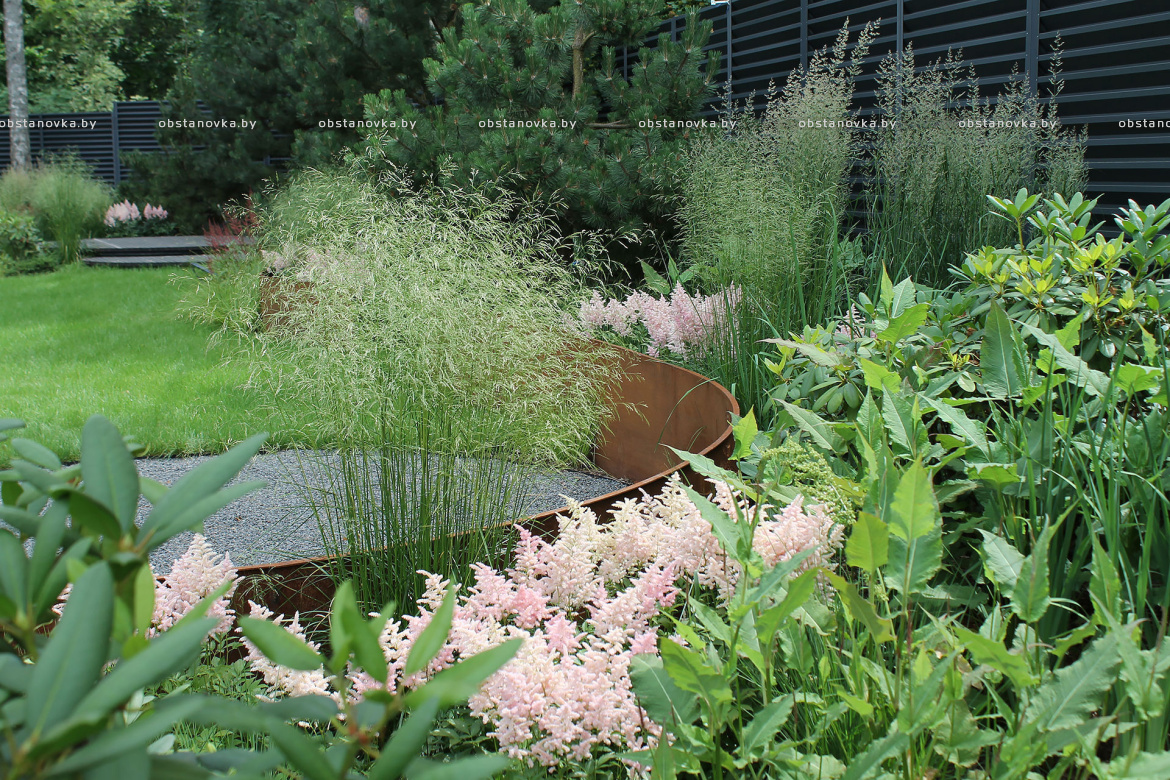 Ландшафт сада «Dreams» Ландшафт сада «Dreams»