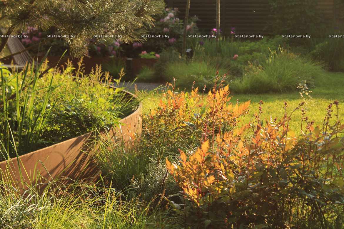 Ландшафт сада «Dreams» Ландшафт сада «Dreams»