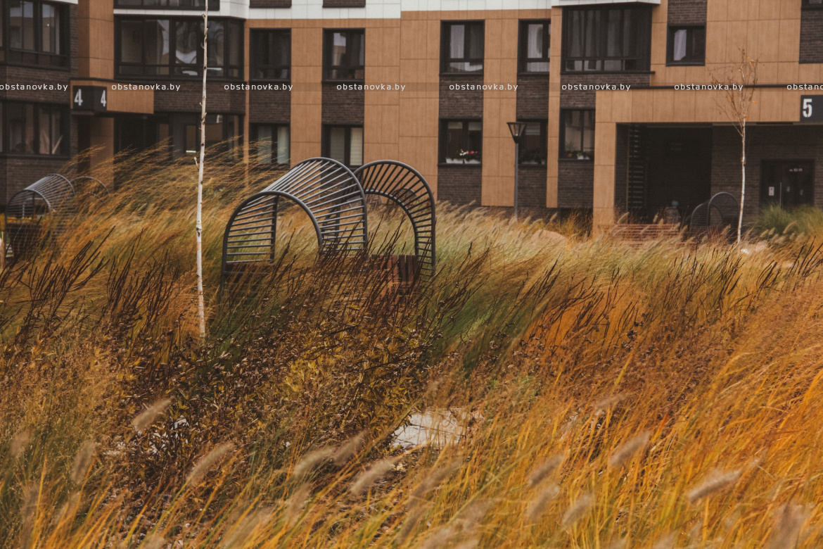 Проект ландшафта «Ландшафты левады» 