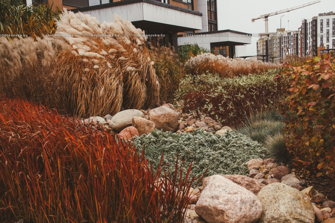 Проект ландшафта «Ландшафты левады» 