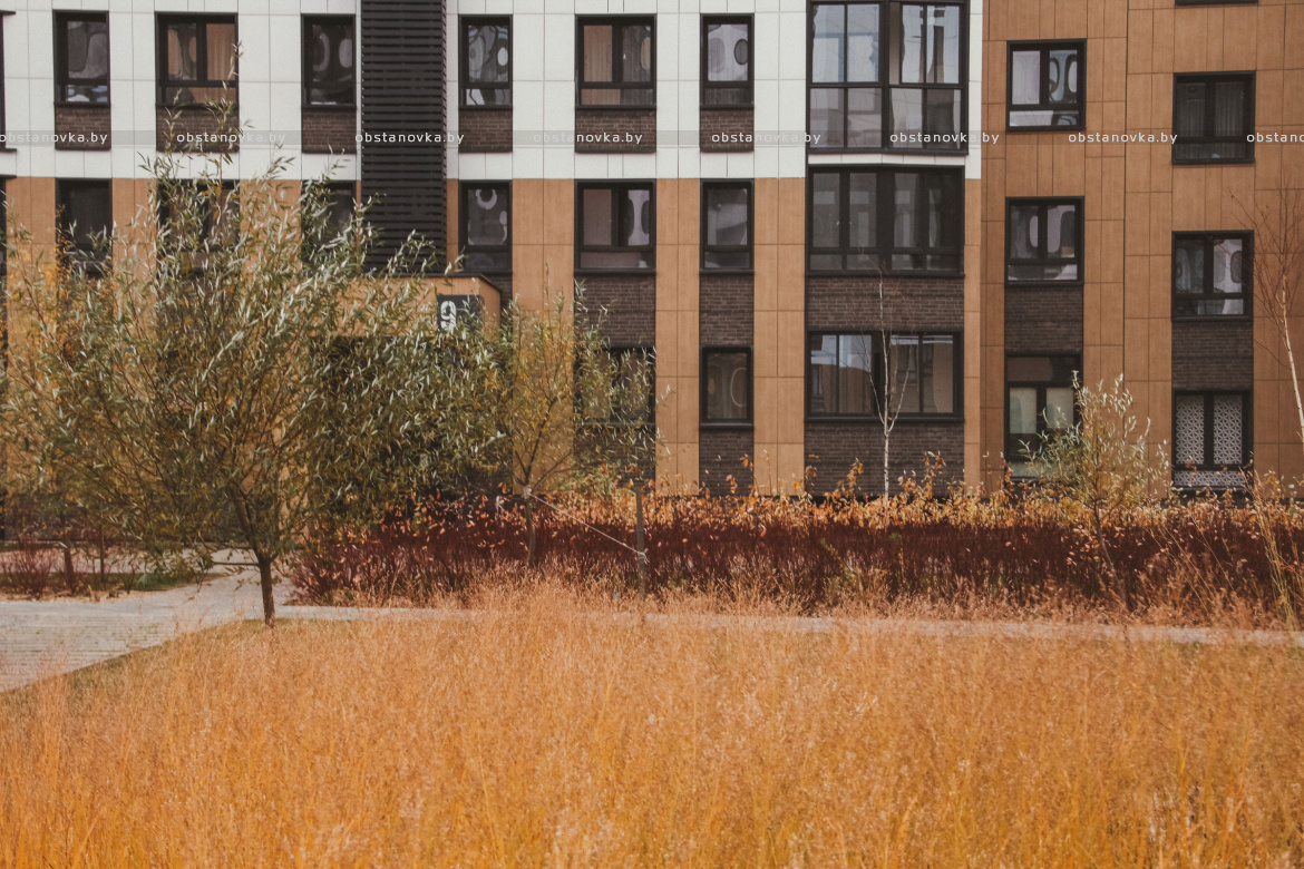 Проект ландшафта «Ландшафты левады» 