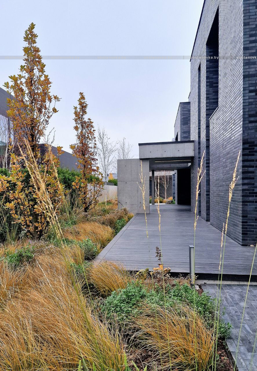 Ландшафт сада «Окна» Ландшафт сада «Окна»