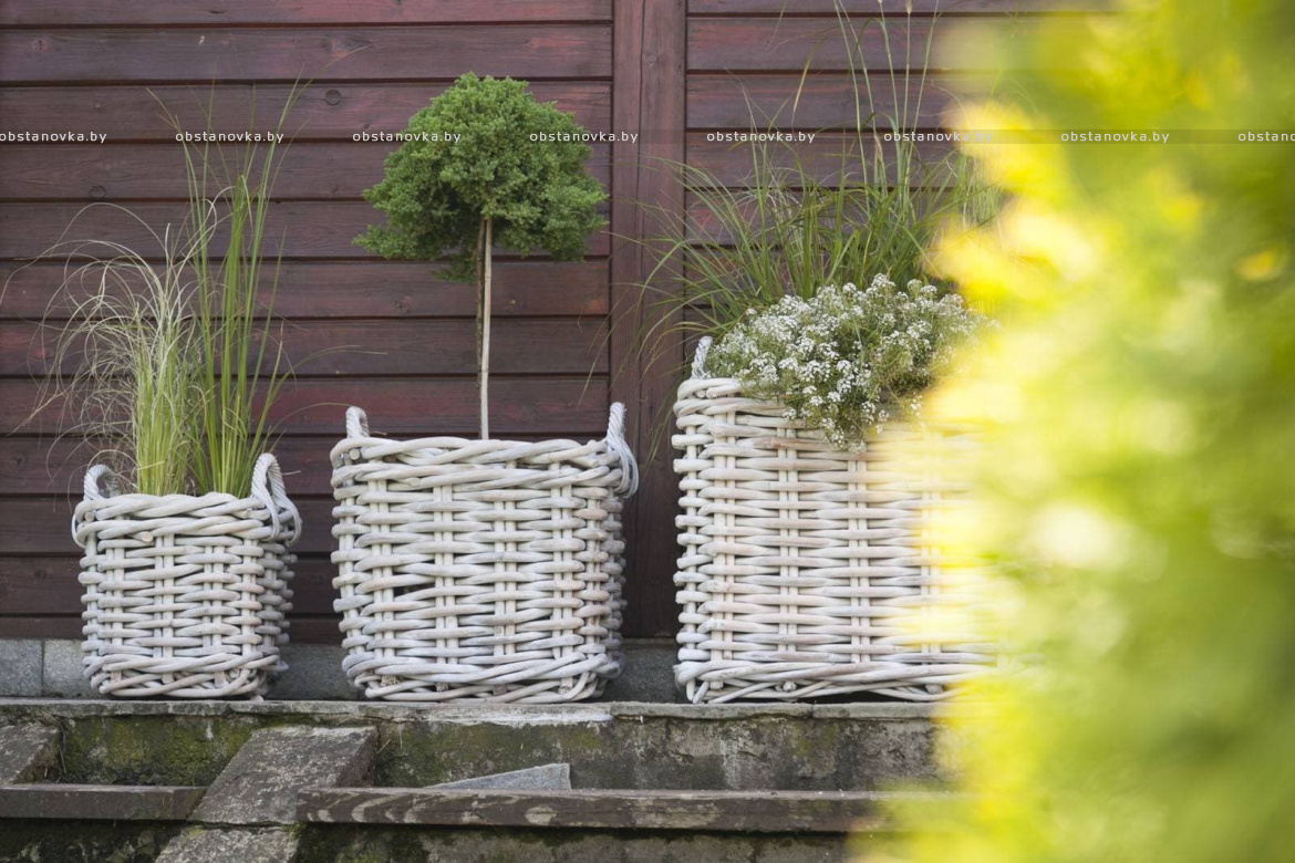 Средиземноморская терраса – cвет, воздух и климатический код пространства
