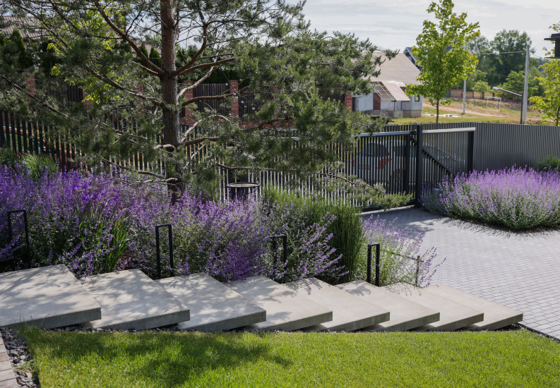 Ландшафт сада «BELTON GARDEN»