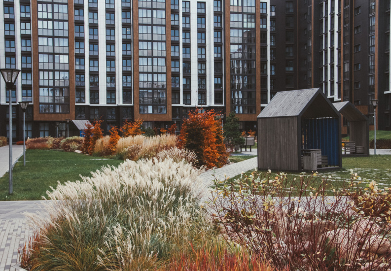 Проект ландшафта «Ландшафты левады» 