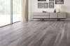Американский орех Bark