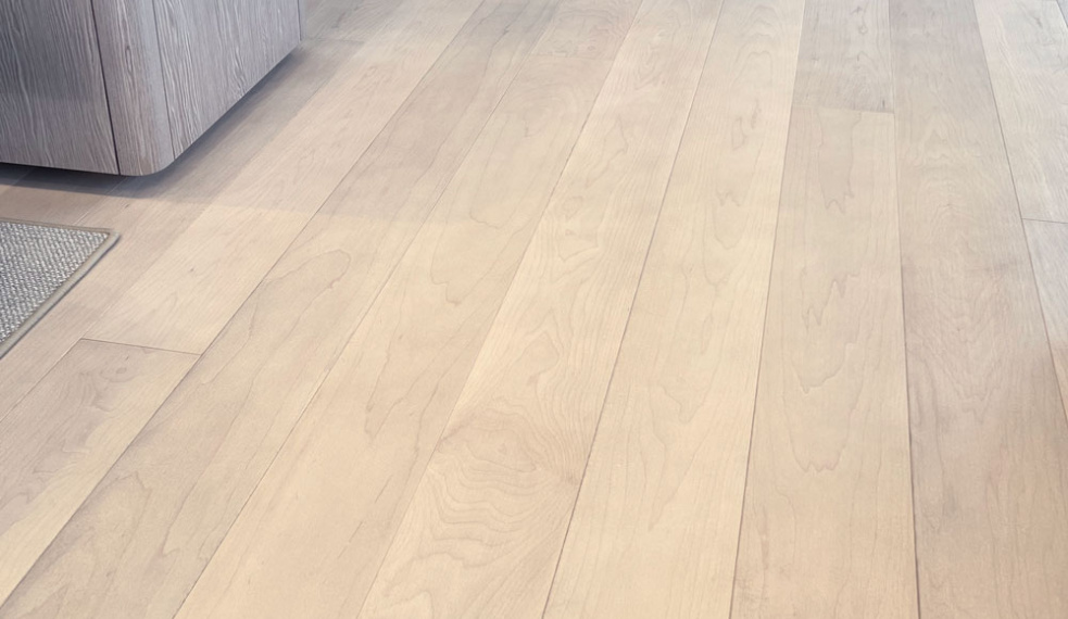 Канадский клён Soft Grey